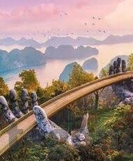大象伊缅园2022短视频-大象伊缅园2022，短视频中的自然与温情
