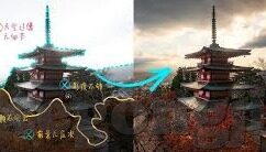 工程伦理案例分析-工程项目中的伦理困境与决策，以某桥梁坍塌事故为例