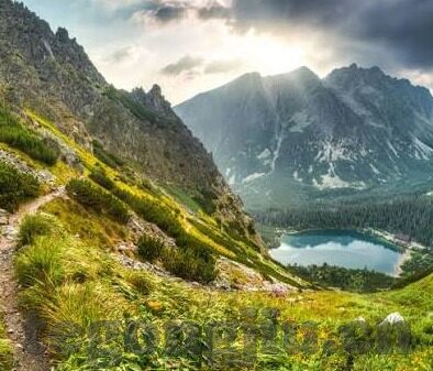 麻豆av在线一区二区三区-网络世界中的信息甄别，解析非主流文化区域的关注现象
