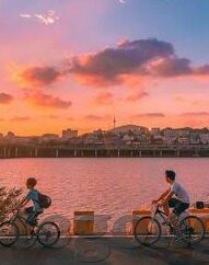 麻豆传媒映画的视频在线观看-探索麻豆传媒映画视频的精彩与多样性