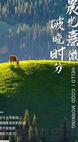 麻豆在线91-麻豆在线91，网络资源如何影响我们的审美趣向