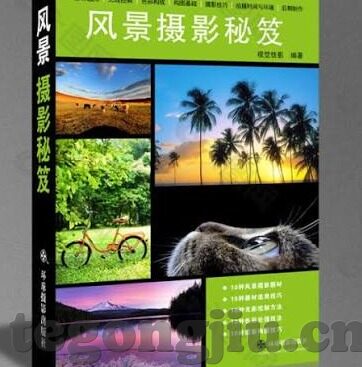 人妻丰满熟妇-丰满熟妇的魅力，人妻之美的细腻描绘