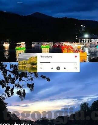 糖心vlog入口网页版-迷雾探秘，揭开糖心Vlog网页版的神秘面纱