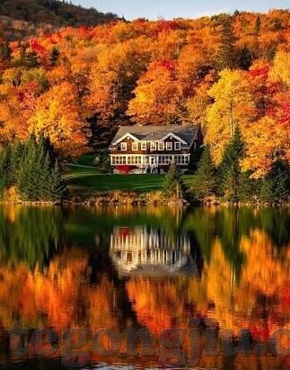糖心vlog视频app-全方位洞察糖心Vlog视频APP，记录生活，共赏精彩瞬间